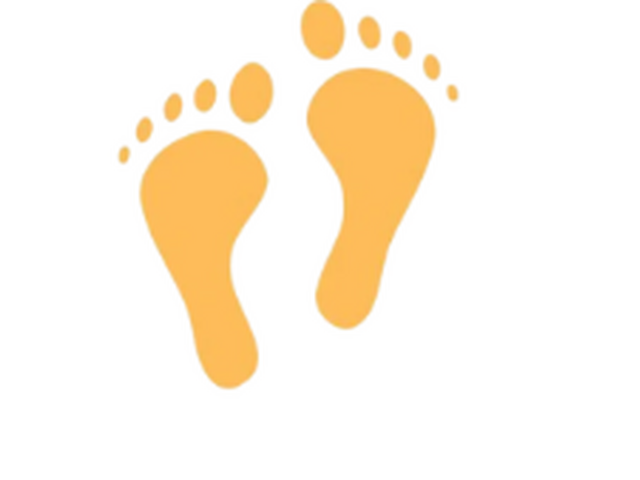 “Mahalaxmi Trade – India’s Gateway to Quality Global Exports”