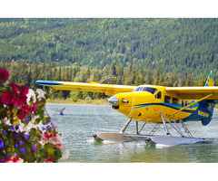 https:www.flaquarium.org/wp-content/uploads/formidable/38/ccomo-puedo-cancelar-un-vuelo-con-united-a