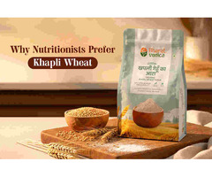 Khapli Wheat – A Healthy and Natural Ancient Grain