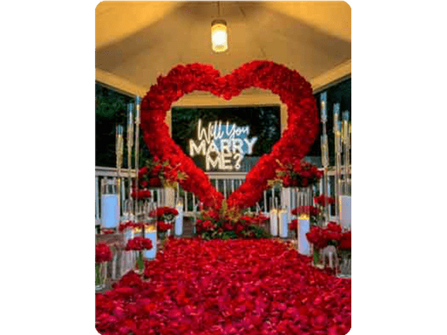 Online Gifting and Surprise Planning - Woofern