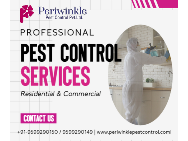 Reliable Residential Pest Control & Pest Management in Greater Noida