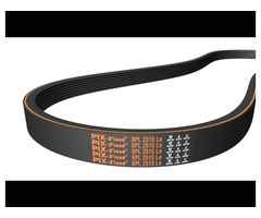 Cinghie Poly V resistenti e versatili – Modelli disponibili su Pix transmission