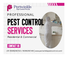 Reliable Residential Pest Control & Pest Management in Greater Noida