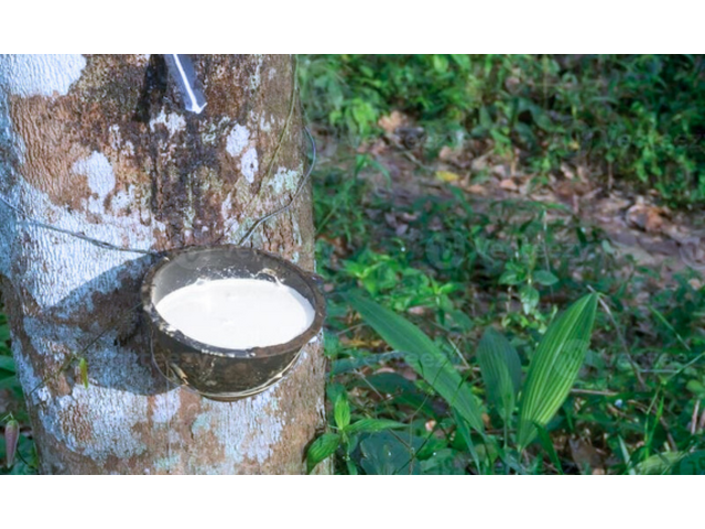 Buy natural latex mattress | Comfort mattress