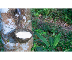 Buy natural latex mattress | Comfort mattress