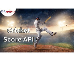 Cricket Odds API: Real-Time Betting Odds for Smarter Sports Platforms