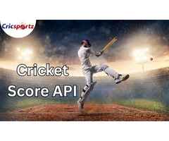 Cricket Odds API: Real-Time Betting Odds for Smarter Sports Platforms