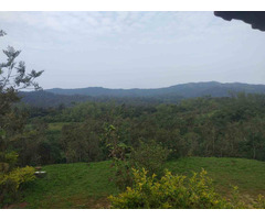 Mysore Cabs Tours & Travels – Book Mysore to Ooty Taxi