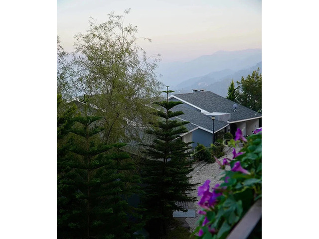 Take The Stress Out Of farmhouse in chattarpur for stay | Iraluxe