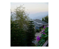 Take The Stress Out Of farmhouse in chattarpur for stay | Iraluxe