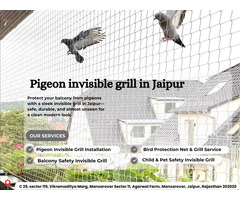 Pigeon Protection Invisible Grill Service Jaipur