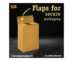 Corrugated Box Manufacturer in Delhi | Premium Corrugated Boxes by Kali Packaging