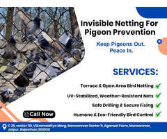 Premium Quality Pigeon Net Installation in Jaipur | Bird Safety