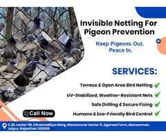 Premium Quality Pigeon Net Installation in Jaipur | Bird Safety