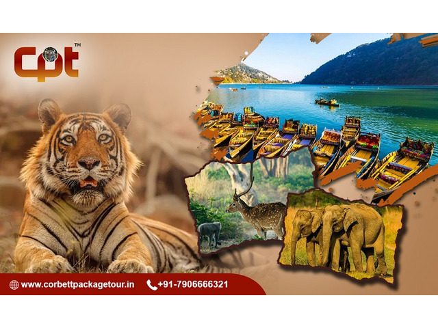 Best Corbett Tour Packages for Wildlife Lovers - Corbett Package Tour