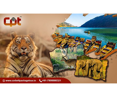 Best Corbett Tour Packages for Wildlife Lovers - Corbett Package Tour