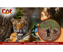 Best Jim Corbett National Park Tour Packages - Corbett Package Tour