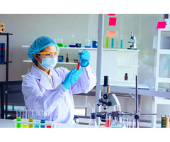 Leading IP & EP Impurity Standards Manufacturer in India