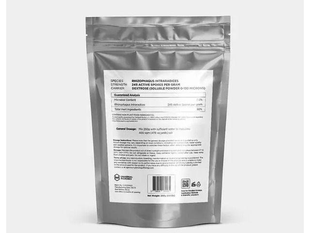 How Rhizophagus intraradices Supports Plant Health