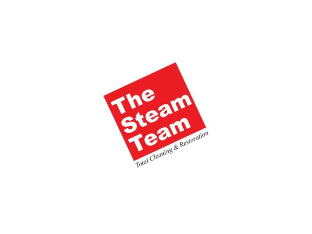 The Steam Team