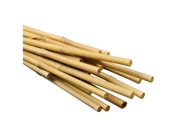 Bulk Bamboo Canes Supplier - Vantidebamboo.com