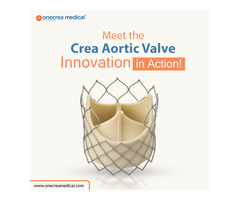 Crea Aortic Valve