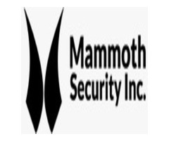 Mammoth Security Inc. Bantam