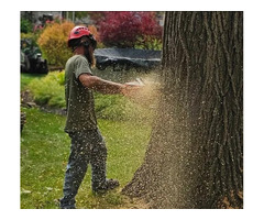 Otto Tree Service LLC