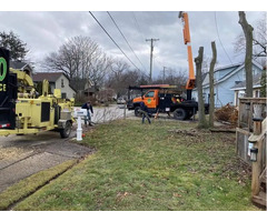 Otto Tree Service LLC