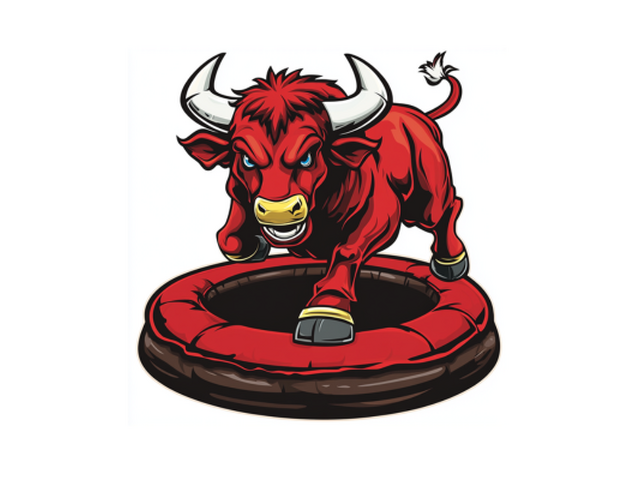 Best Mechanical Bull Rental DFW