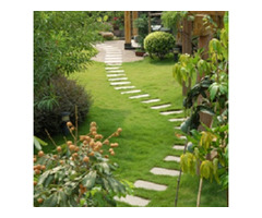 Dreamscapes Ohio LTD.