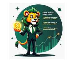 Get Up to 1 10000 Flat Leverage on Deposits