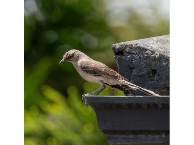 Thermal Insulation Services in Pennsylvania