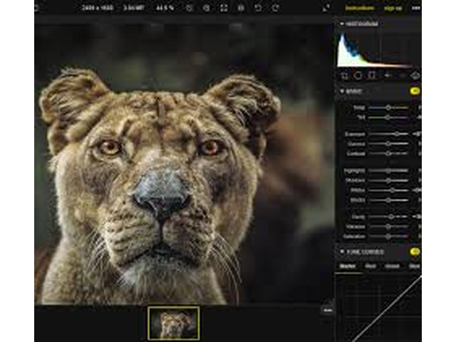 ecommerce photo editing service in USA