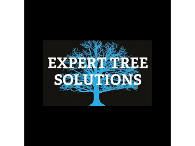 Expert Tree Solutions
