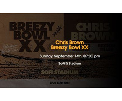 Chris Brown SoFi Stadium
