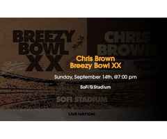 Chris Brown SoFi Stadium