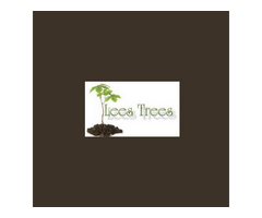 Lees Trees Services