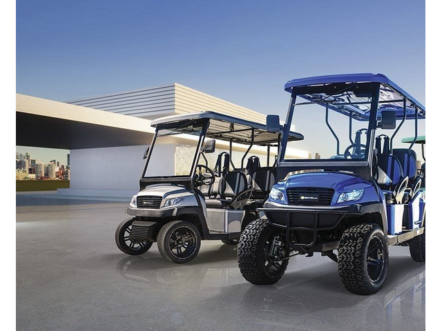 Island Adventures Made Easy with AMI Golf Cart Rentals