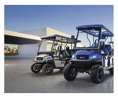 Island Adventures Made Easy with AMI Golf Cart Rentals