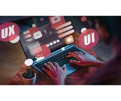 Website Designing Petaluma