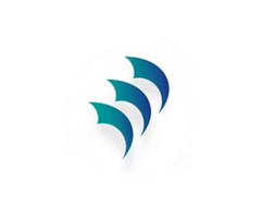 Talon | Managed It Solutions