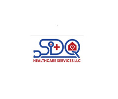 SDQ Healthcare Services