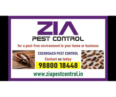 Cockroach Pest service Up To 30% Discount | Pest control near me | 9089