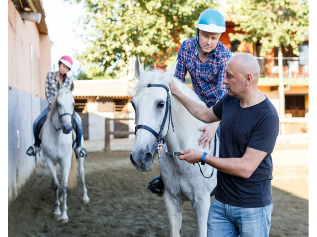 Want to master the art of horseback riding?