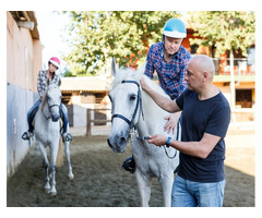 Want to master the art of horseback riding?
