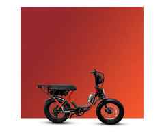 Feel the Island Breeze with Anna Maria Island eBike Rentals