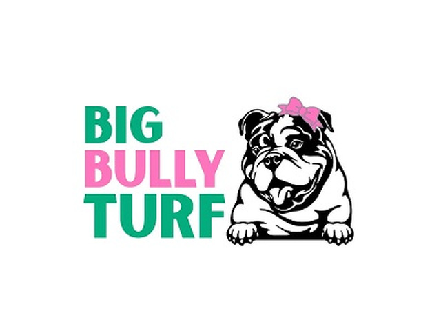 Big Bully Turf