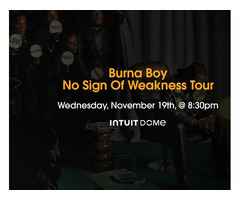 Burna Boy Tickets Nov 19