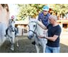 Therapeutic Riding Autism